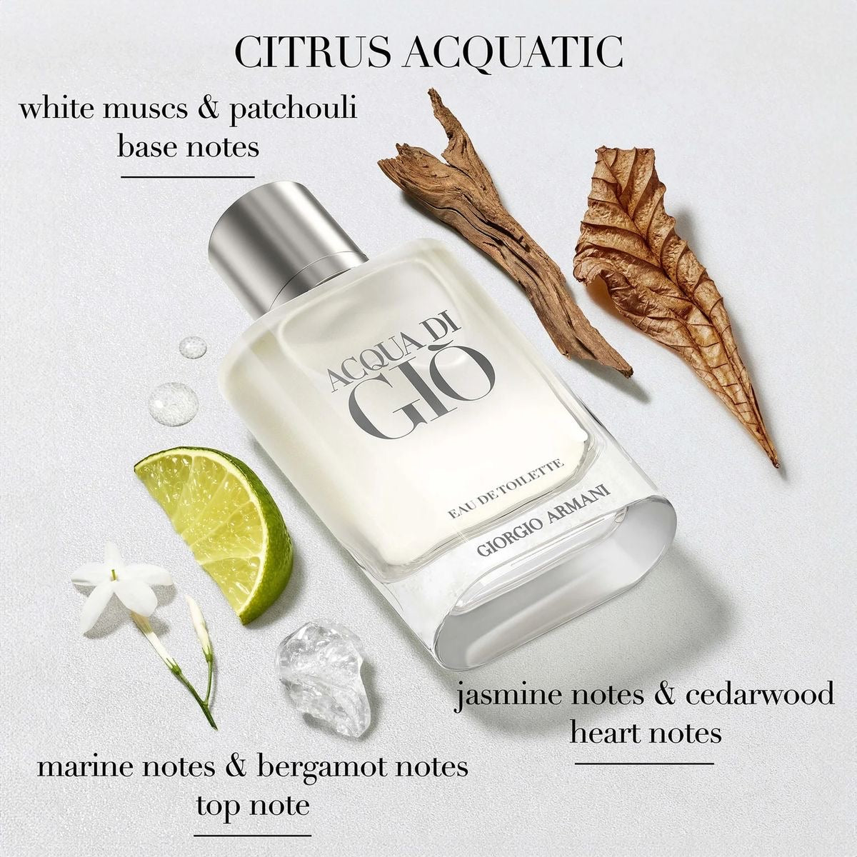 Giorgio Armani Acqua Di Gio EDT 100ml - 100% Authentic | Men Perfume